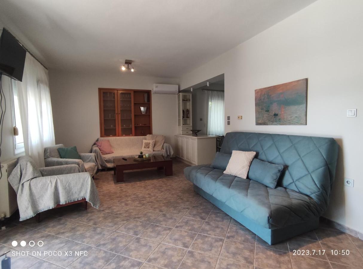 Villa Garden House PalaiónTsiflíkion Esterno foto